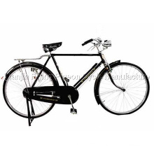 28"Bike (TR-025)